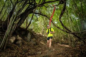 BIB: 
                            <button type="button" onclick="openModal(22177986)" class="btn btn-primary btn-sm float-right btn-popup" data-toggle="modal" data-target=".modal-high-quality">
                        <i class="fas fa-shopping-cart"></i> Add to Cart
                    </button>
                                            <button type="button" onclick="isThisMe(22177986, true)" class="btn btn-success btn-sm float-right btn-popup btn-isme hidden" data-toggle="tooltip" data-placement="bottom" title="นี่คือรูปของคุณใช่ไหม คลิกที่นี่เพื่อเอาเข้าอัลบั้ม">
                        <i class="fas fa-plus"></i> Add to album
                    </button>
                    <button type="button" onclick="isThisMe(22177986, false)" class="btn btn-warning btn-sm float-right btn-popup btn-isnotme hidden">
                        <i class="fas fa-ban"></i> Remove from album
                    </button>